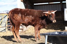 GPC MIKE THE SITUATION